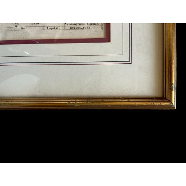 Antique Engraving by g.l. Smith. The Five Orders of Architecture With TheirPedestals. Framed For Sale - Image 9 of 10