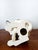 Vintage Ceramic Dalmatian Dog, Italy, 1970s For Sale - Image 10 of 14