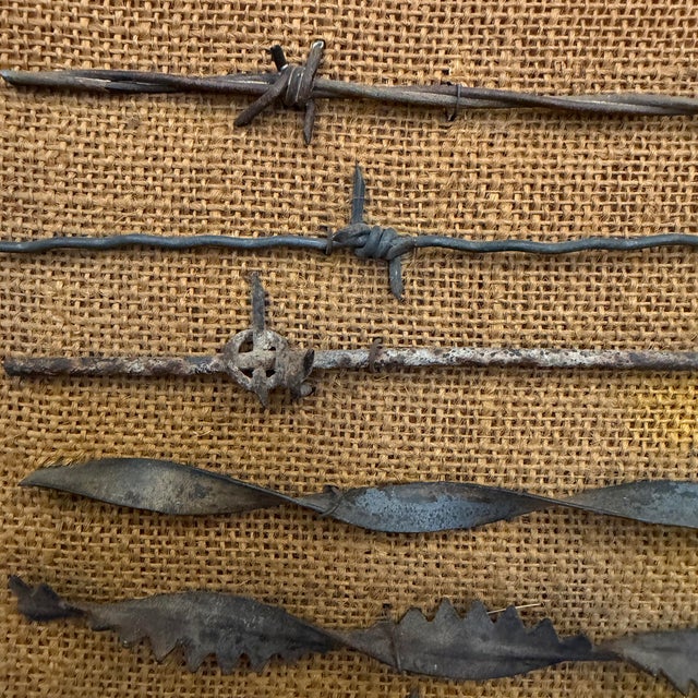 Collection of Mounted 19th Century American Barbed Wire Specimens For Sale - Image 12 of 17