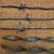 Collection of Mounted 19th Century American Barbed Wire Specimens For Sale - Image 12 of 17