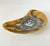 1960s Single Medaglioni Piero Fornasetti Gilt Porcelain Cresent Shaped Catchall Tray For Sale - Image 5 of 12