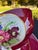 Oxblood Red 19th Century Imperial Gardner Porcelain Claret Red Floral Plate & Piala Bowl - Set of 2 For Sale - Image 8 of 10