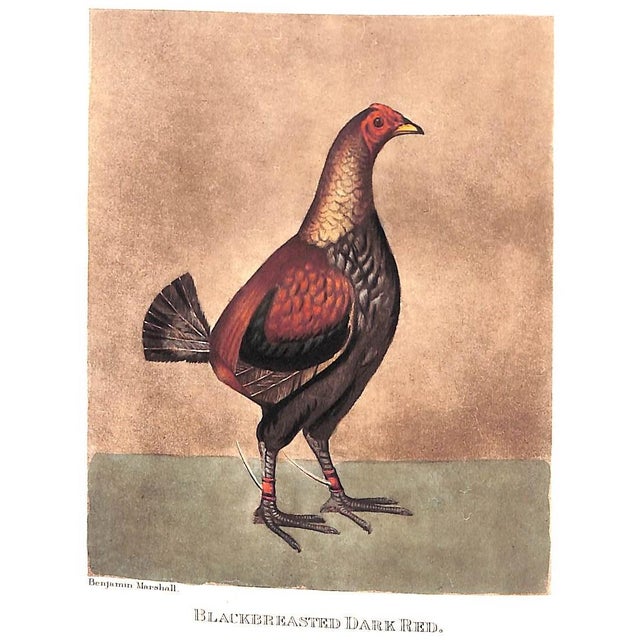 The Sporting Repository: Anecdotes on Sporting Subjects For Sale - Image 9 of 12