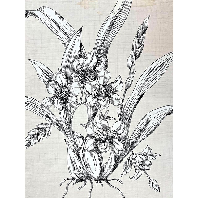 Thibaut Thibaut "Toile Tropicale" Wallpaper Double Rolls, a Pair For Sale - Image 4 of 10