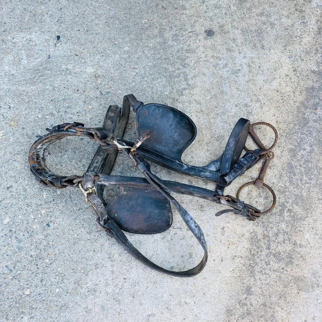 Vintage Mid 20th Century Decorative Leather Horse Saddle With Stand For Sale - Image 10 of 13