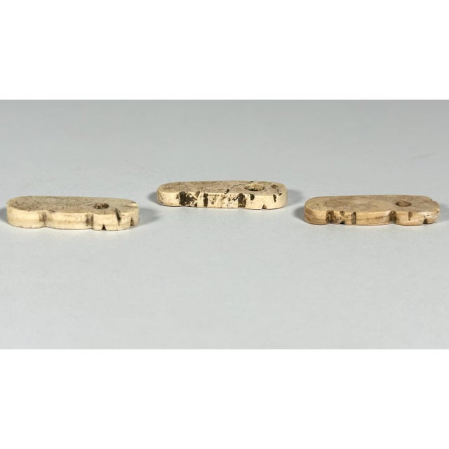 American Pre-Columbian Taino Shell Amulets: Zoomorphic Zemi Beads For Sale - Image 3 of 9