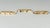 American Pre-Columbian Taino Shell Amulets: Zoomorphic Zemi Beads For Sale - Image 3 of 9