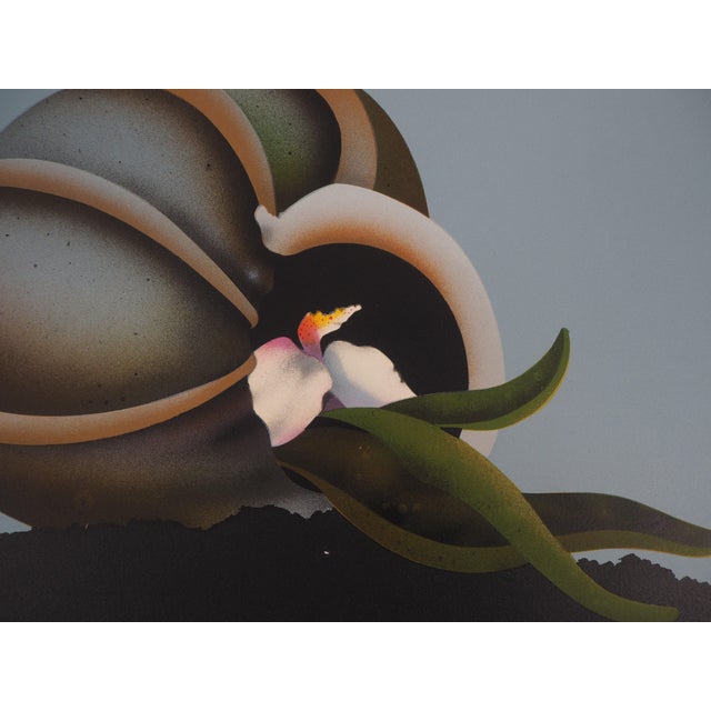 Modern Jean-Paul Donadini, Le repos marin, Lithograph For Sale - Image 3 of 7