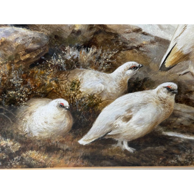 Wood Ornithology Watercolor Highland Moors Wildlife Covey of Ptarmigan Game Birds by Neil Cox For Sale - Image 7 of 12
