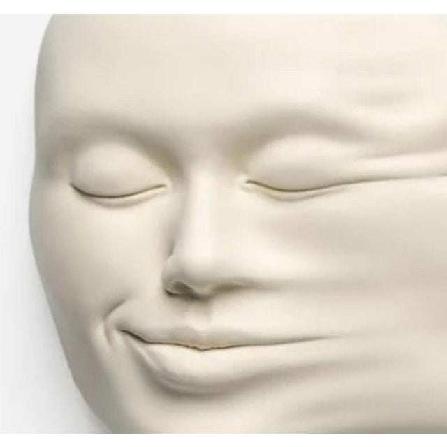 Soul to Soul By Johnson Tsang 2023 Painted resin diptych sculpture filled with dry cast porcelain 28 x 48 x 11 cm (11 x...