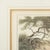 Edward Orme, Hunting Wolves in Their Dens, 1806, Engraving For Sale - Image 18 of 18