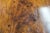19th Century Antique Regency Tilt Top Table With Wheeled Base For Sale - Image 10 of 13