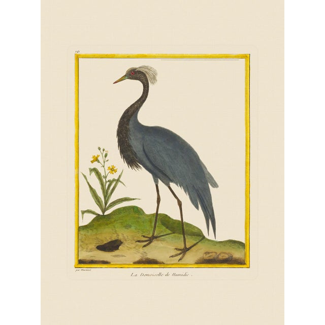 Blue Shore Bird Grouping by Martinet Blue and Pink Giclee Reproductions For Sale - Image 8 of 11