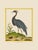 Blue Shore Bird Grouping by Martinet Blue and Pink Giclee Reproductions For Sale - Image 8 of 11