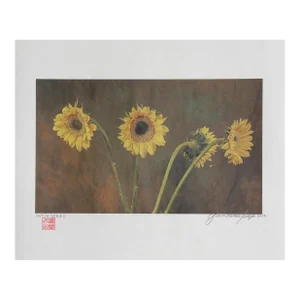 Dutch Series (Sunflowers), Jonathan Singer