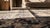 1930s Gray Medallion Folk Art Antique American Hooked Rug 6' 0" X 9' 0" Handknotted Wool Carpet For Sale In New York - Image 6 of 7