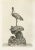 Audsley, Cranes on Ornamental Base, 1884, Heliograph For Sale - Image 6 of 7
