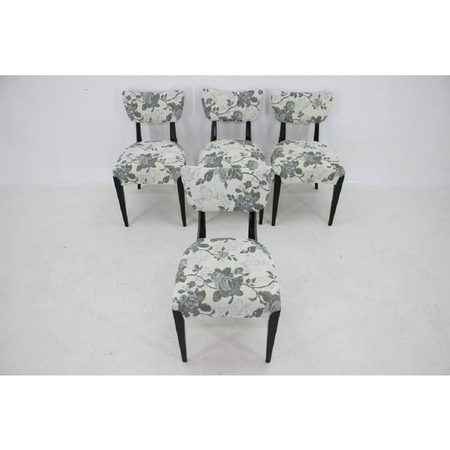 Dining Chairs by Jindrich Halabala for Hala, Czechoslovakia, 1950s, Set of 4 For Sale - Image 6 of 18