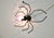 Mid-Century Modern Mid-Century Modern Wall Lamp in Metal and Murano Glass Depicting a Spider, Italy, 1950s For Sale - Image 3 of 17