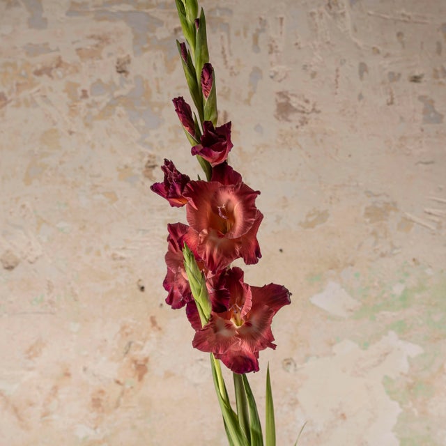 1960s Sommerso Murano Glass Vase from Cenedese, 1960s For Sale - Image 5 of 10