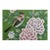 Hand Painted Bird & Peony Wallpaper Sample 8" × 12" | Luxury Chinoiserie Botanical Wallcovering | Custom Design Available For Sale