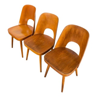 Vintage Honey Oak Side Chairs by Oswald Haerdtl, 1950s, Set of 3 For Sale