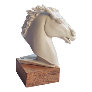 Porcelain Horse Head from Aelteste Volkstedter Porzellanmanufaktur, Thuringia, 1950s. For Sale