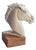 Porcelain Horse Head from Aelteste Volkstedter Porzellanmanufaktur, Thuringia, 1950s. For Sale