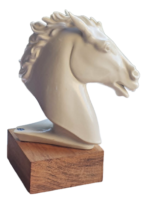 Porcelain Horse Head from Aelteste Volkstedter Porzellanmanufaktur, Thuringia, 1950s.