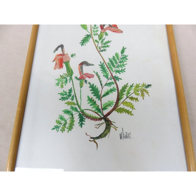 Flowers Watercolor by W. Kratz, 1950s, Set of 4 For Sale - Image 13 of 18