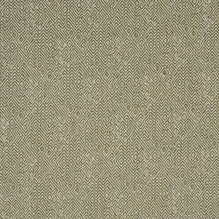 Sample - Schumacher Leona Performance Fabric In Green For Sale