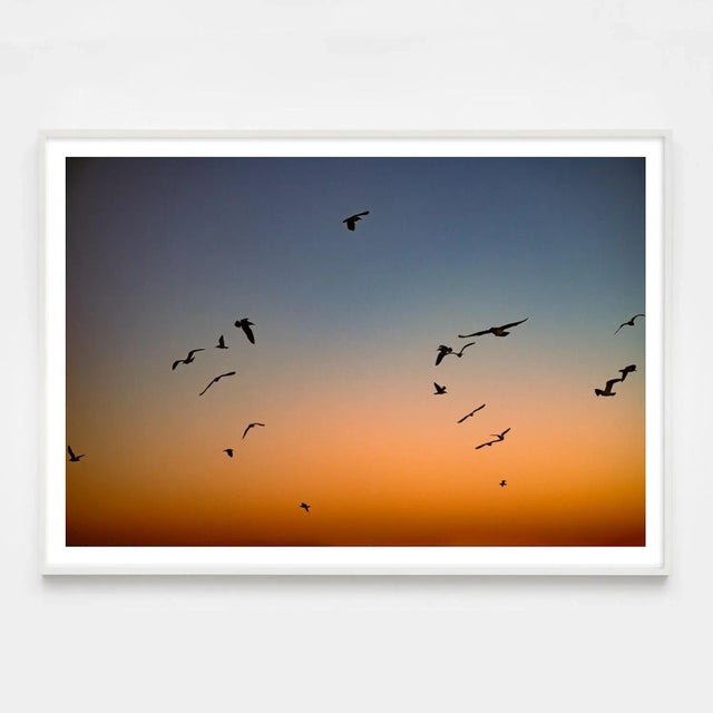 Contemporary "Pattern" Contemporary Coastal Scene Gradient Photograph - 20x30 For Sale - Image 3 of 4