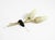 Mid-Century Brass Wall Lamp with Painted Glass Shades, 1950s For Sale - Image 6 of 18