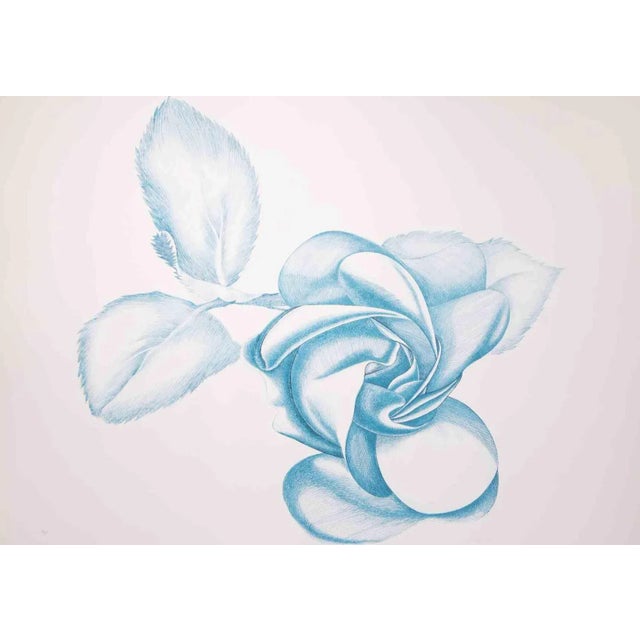 Blue Rose is an original contemporary artwork realized by Giacomo Porzano in 1970s. Colored etching Hand-signed on the...