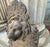 Early 20th Century Cast Iron Lion Architectural Fountain Back For Sale - Image 13 of 17