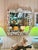 Custom Coastal Seashell Wall Mirror With Coral & Mixed Shell Mosaic Frame For Sale - Image 12 of 12