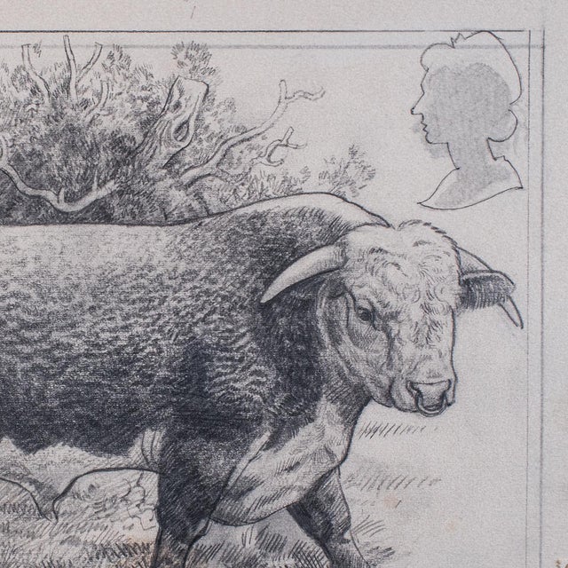 1980s Vintage Hereford Bull Sketch, English, Framed Art, Stamp Proof, Barry Driscoll For Sale - Image 5 of 11