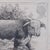 1980s Vintage Hereford Bull Sketch, English, Framed Art, Stamp Proof, Barry Driscoll For Sale - Image 5 of 11