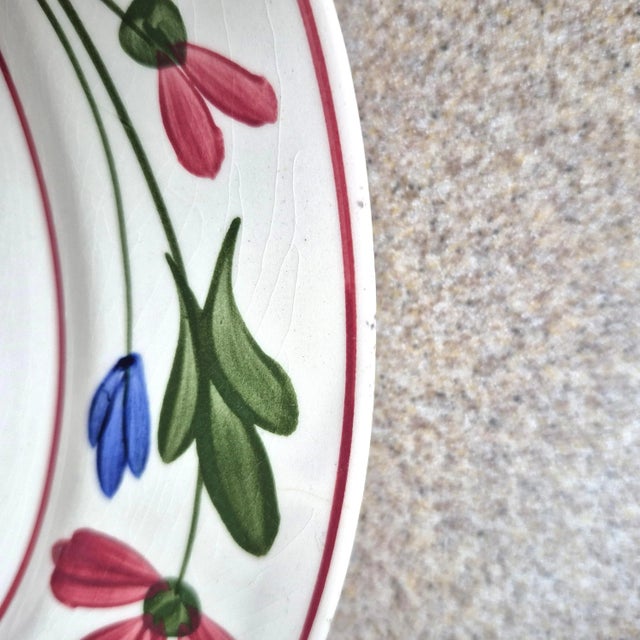 Ceramic 1940s Hand Painted Vintage Blue Ridge Plate: "Tumbling Petals" From Southern Potteries Usa For Sale - Image 7 of 14