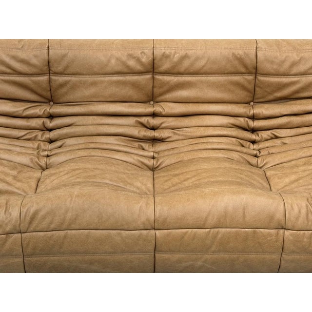 This Togo has been reupholstered with new foam and leather, preserving its shape & iconic looks. As a result of the...