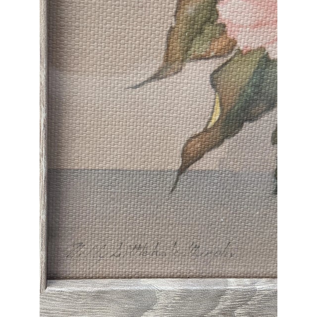 Vintage Still Life Botanical Prints by Nelly Littlehale Murphy- A Pair For Sale - Image 12 of 15