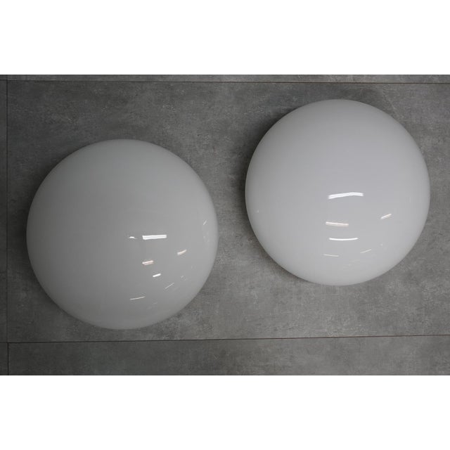 Sergio Mazza Magnolia Lamps by Sergio Mazza for Quattrifolio, Italy, 1971, Set of 2 For Sale - Image 4 of 6