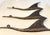 Spectacular, three-piece set of imposing, brutalist wall sculptures in the shape of birds, crafted by the well-known...
