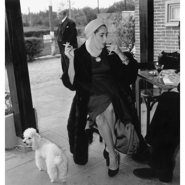 Taylor And Poodle (1957) - Silver Gelatin Fibre Print (Photo by Stanley Sherman/Express/Getty Images) 23rd April 1957:...