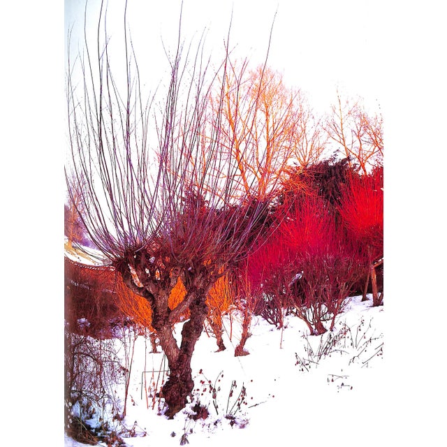 "Private Gardens of England" 1986 Hobhouse, Penelope For Sale - Image 10 of 12