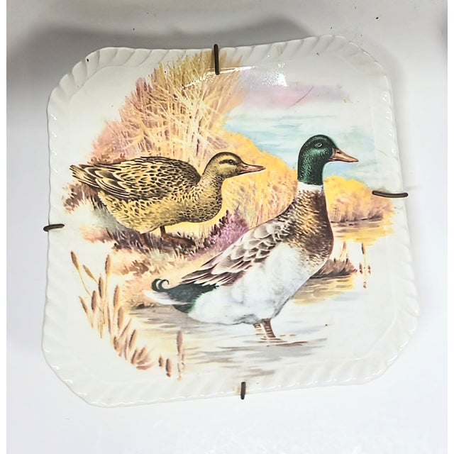 Illustrated Game Bird Plates - Set of Six For Sale - Image 10 of 16