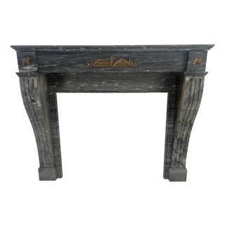 Napoleon III Fireplace in Blue Turquin Marble, 1800s For Sale