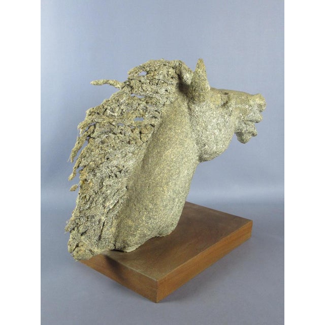 Wood Emilia Parea, Horse Head Sculpture, 1960s, Granite and Papier-Mâché on Wood Base For Sale - Image 7 of 18
