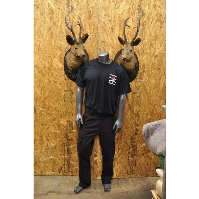 Vintage Taxidermy Deer Shoulder Mount Wall Decor with Green Metal Leaves (Right and Left) - a Pair. Circa Early 20th...