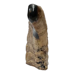Decorative Ox Horn Look Raw Rough Surface Display Art